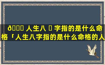 🕊 人生八 ☘ 字指的是什么命格「人生八字指的是什么命格的人」